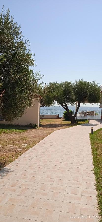 Aparthotel Lemonis House Nea Skioni Exterior foto